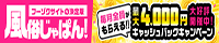 津山の風俗は「風俗じゃぱん」にお任せ！